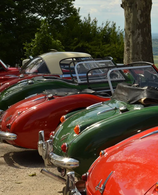 Plusieurs voitures classiques vertes et rouges alignées, avec des arbres en arrière-plan à Veigné près de Tours en Indre-et-Loire 37